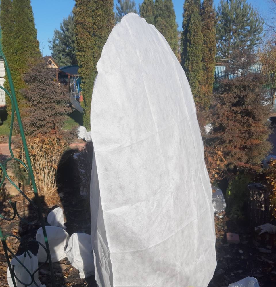 ����� ��� ������